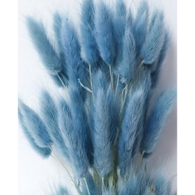 Лагурус Light Sky Blue сухоцвет оптом (1 штука) фото
