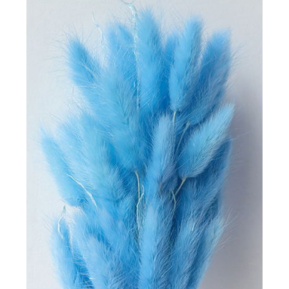 Лагурус Corn Flower Blue сухоцвет оптом (1 штука) фото