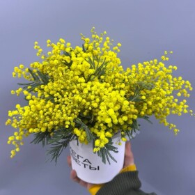 Букет дня "Натуральный  сухоцветов" в ящике фото