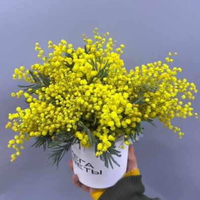 Букет дня "Натуральный  сухоцветов" в ящике фото