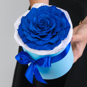 1 Синяя Роза в коробке стабилизированная фото