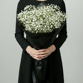 10 Белых Гиспофил (Траур) фото