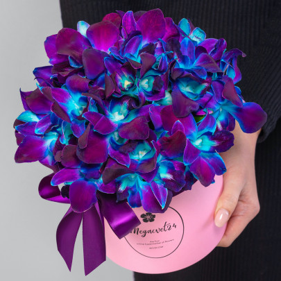 10 Синих Орхидей Дендробиум в коробке фото