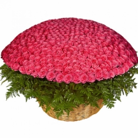 1001 Ярко-Розовая Роза (50 см.) в корзине фото