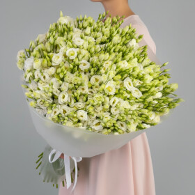 101 Белая Эустома фото