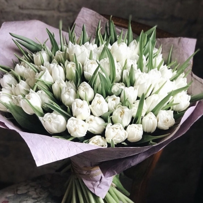 101 Белый Пионовидный Тюльпан фото