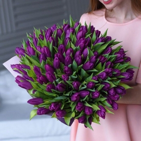101 Фиолетовый Тюльпан фото