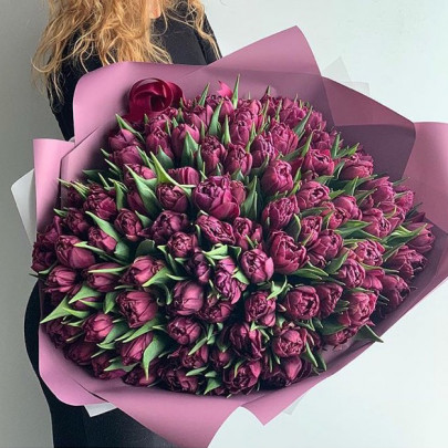 101 Фиолетовый Пионовидный Тюльпан фото