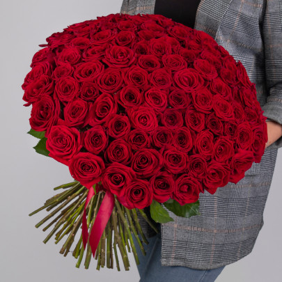 101 Красная Роза (50 см.) фото
