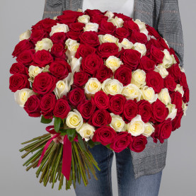 101 Красно-Белая Роза (50 см.) фото