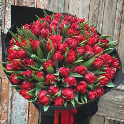 101 Красный Пионовидный Тюльпан  фото