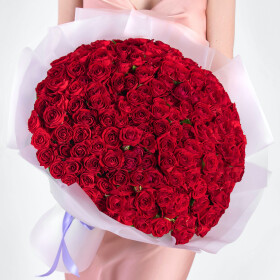 101 Кустовая Красная Роза (50 см.) фото