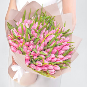 101 Светло-Розовый Тюльпан фото