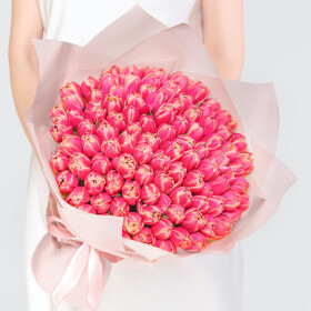 101 Пионовидный Тюльпан Колумбус фото