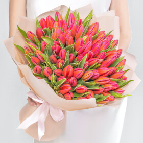 101 Розовый Тюльпан фото