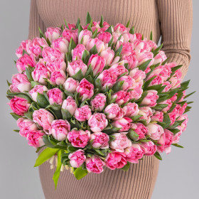101 Розовый Пионовидный Тюльпан фото