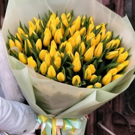 101 Желтый Тюльпан в пленке  фото