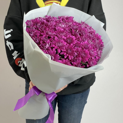 11 Фиолетовых Кустовых Хризантем фото