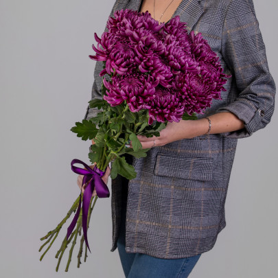 11 Фиолетовых Хризантем Бигуди фото