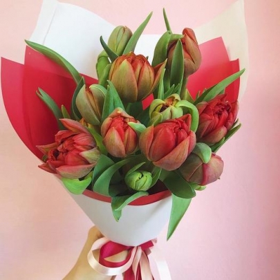 11 Красных Пионовидных Тюльпанов фото