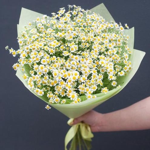 

11 Кустовых Ромашек