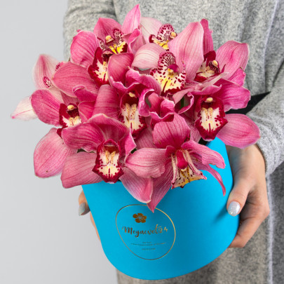 11 Розовых Орхидей в коробке фото