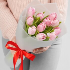 11 Светло-Розовых Тюльпанов фото