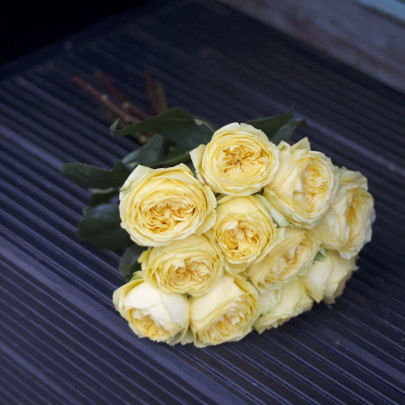 11 Пионовидных Желтых Роз (50 см.) фото изображение 2
