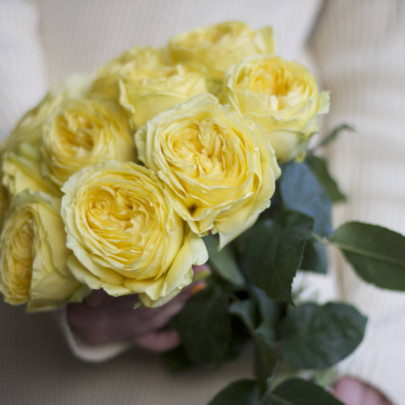 11 Пионовидных Желтых Роз (50 см.) фото изображение 3