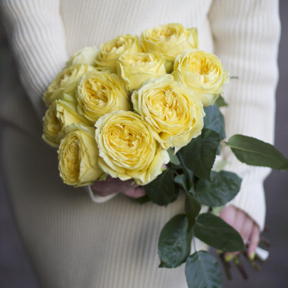 11 Пионовидных Желтых Роз (50 см.) фото