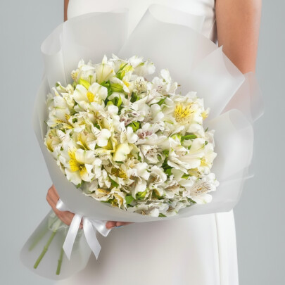 15 Белых Альстромерий фото