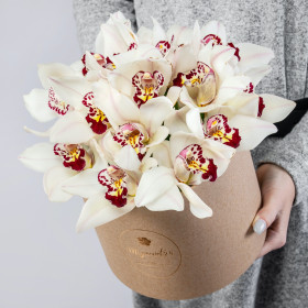 15 Белых Орхидей в коробке фото