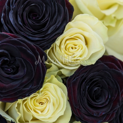 15 Черно-Белых Роз (70 см.) фото изображение 3