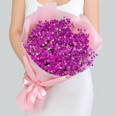 15 Фиолетовых Гипсофил фото