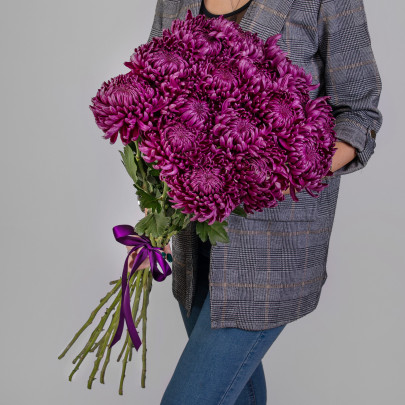 15 Фиолетовых Хризантем Бигуди фото