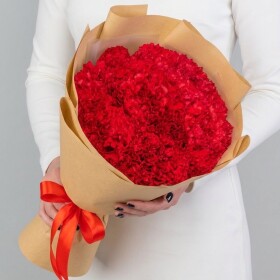 15 Красных Гвоздик в пленке фото