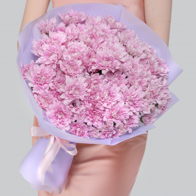 15 Розовых Кустовых Хризантем фото