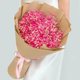 15 Розовых Гипсофила фото