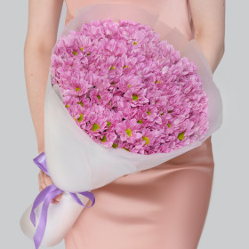15 Розовых Кустовых Хризантем Ромашка фото