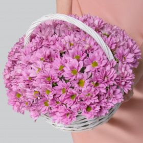 15 Розовых Кустовых Хризантем Ромашка в корзине фото