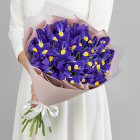 Букет 15 Синих Ирисов фото