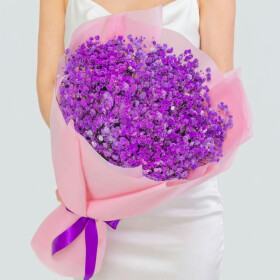 15 Сиреневых Гипсофил фото