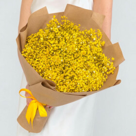 15 Желтых Гипсофил фото