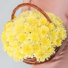 15 Желтых Кустовых Хризантем в корзине фото