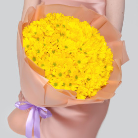 15 Жёлтых Кустовых Хризантем Ромашка фото