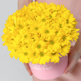 15 Жёлтых Кустовых Хризантем Ромашка в коробке фото
