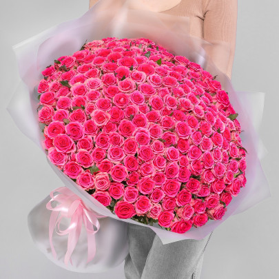 201 Розовая Роза (70 см.) фото