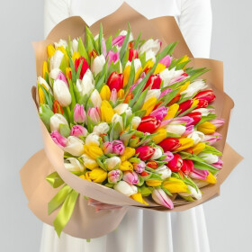 151 Тюльпан Микс фото