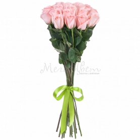 17 Светло-Розовых Роз (70 см.) фото