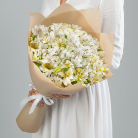 19 Белых Альстромерий фото